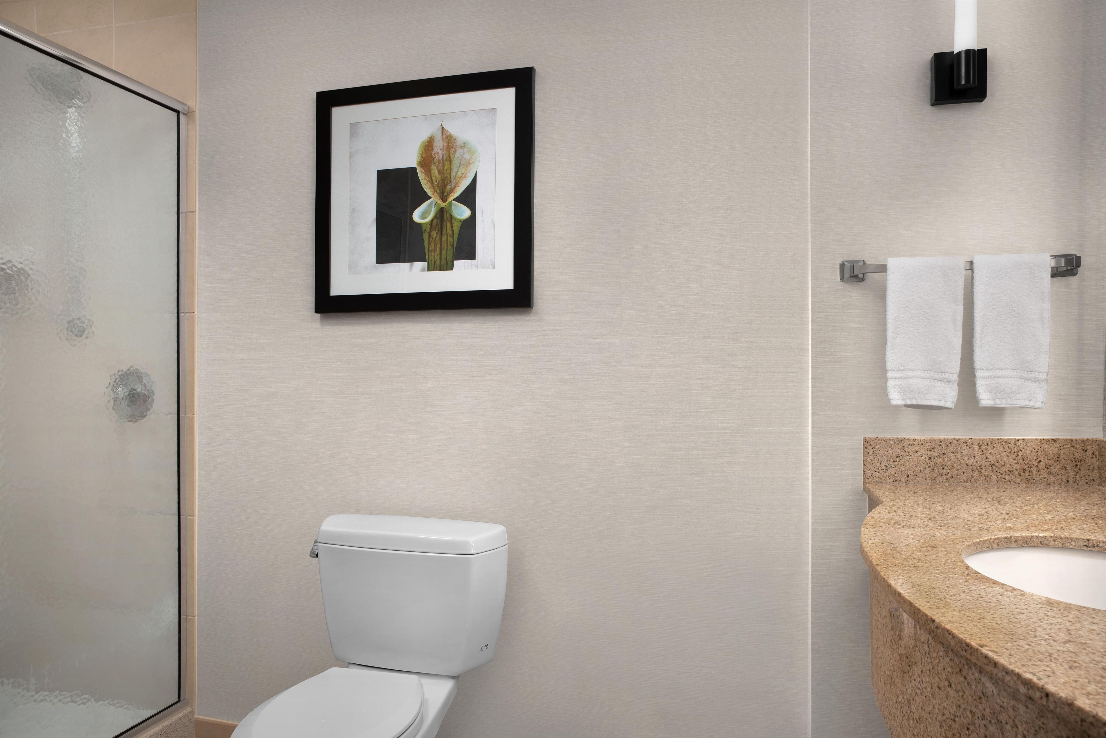 A bathroom with a toilet, a framed picture on the wall, and a towel rack with two towels.