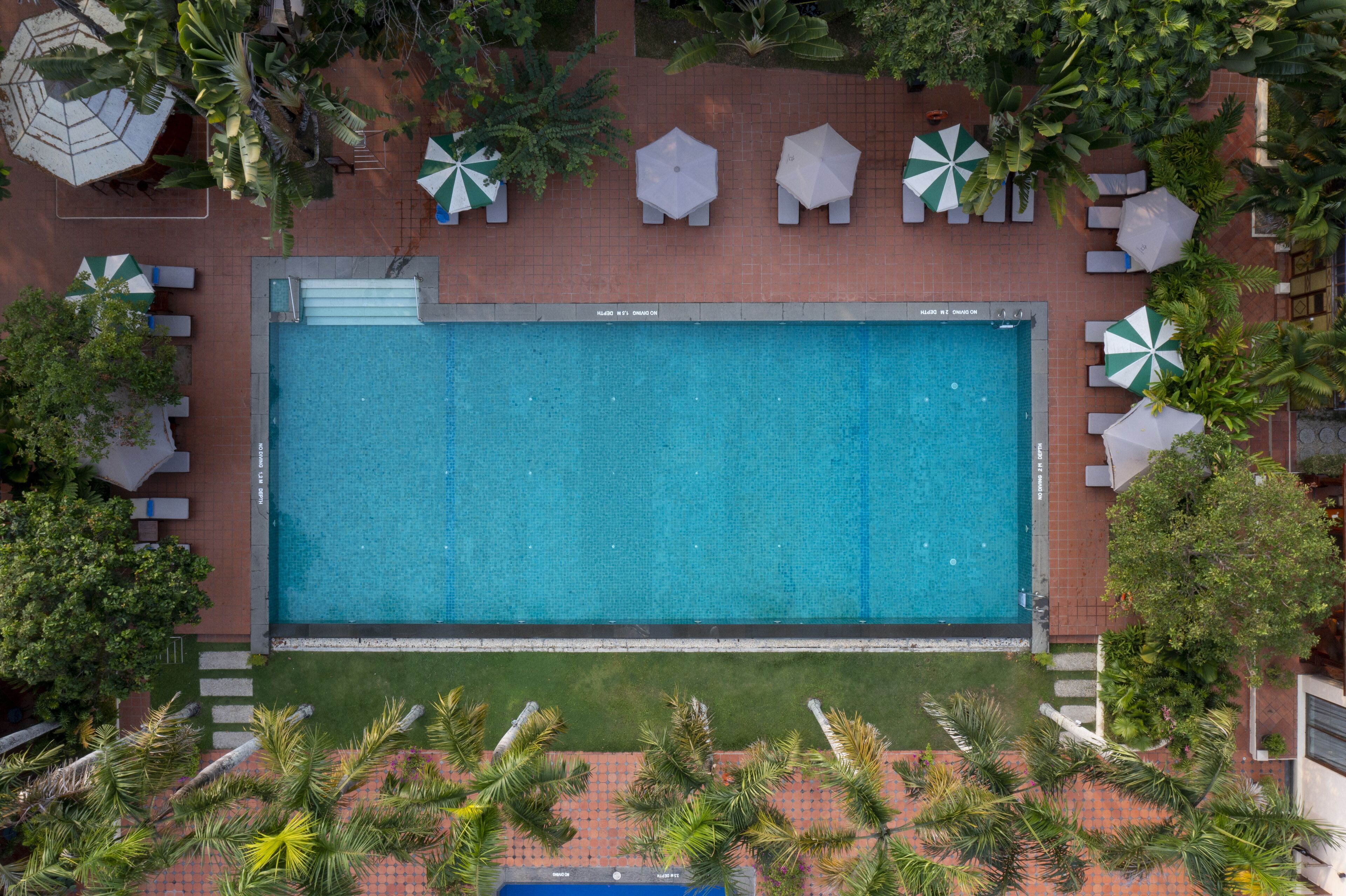An aerial view of a rectangular swimming pool surrounded by lounge chairs and umbrellas, with palm trees and a brick pathway.