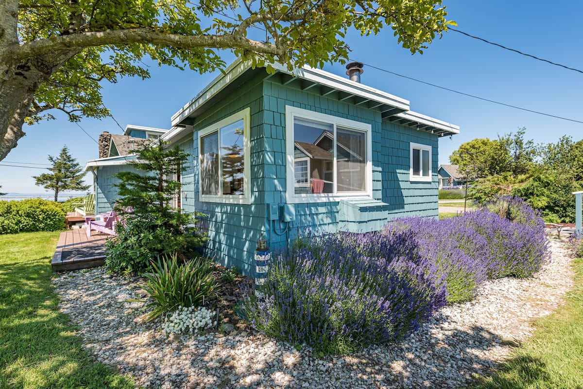 A small, single-story house with a blue exterior, large windows, and a well-maintained garden with lavender plants.