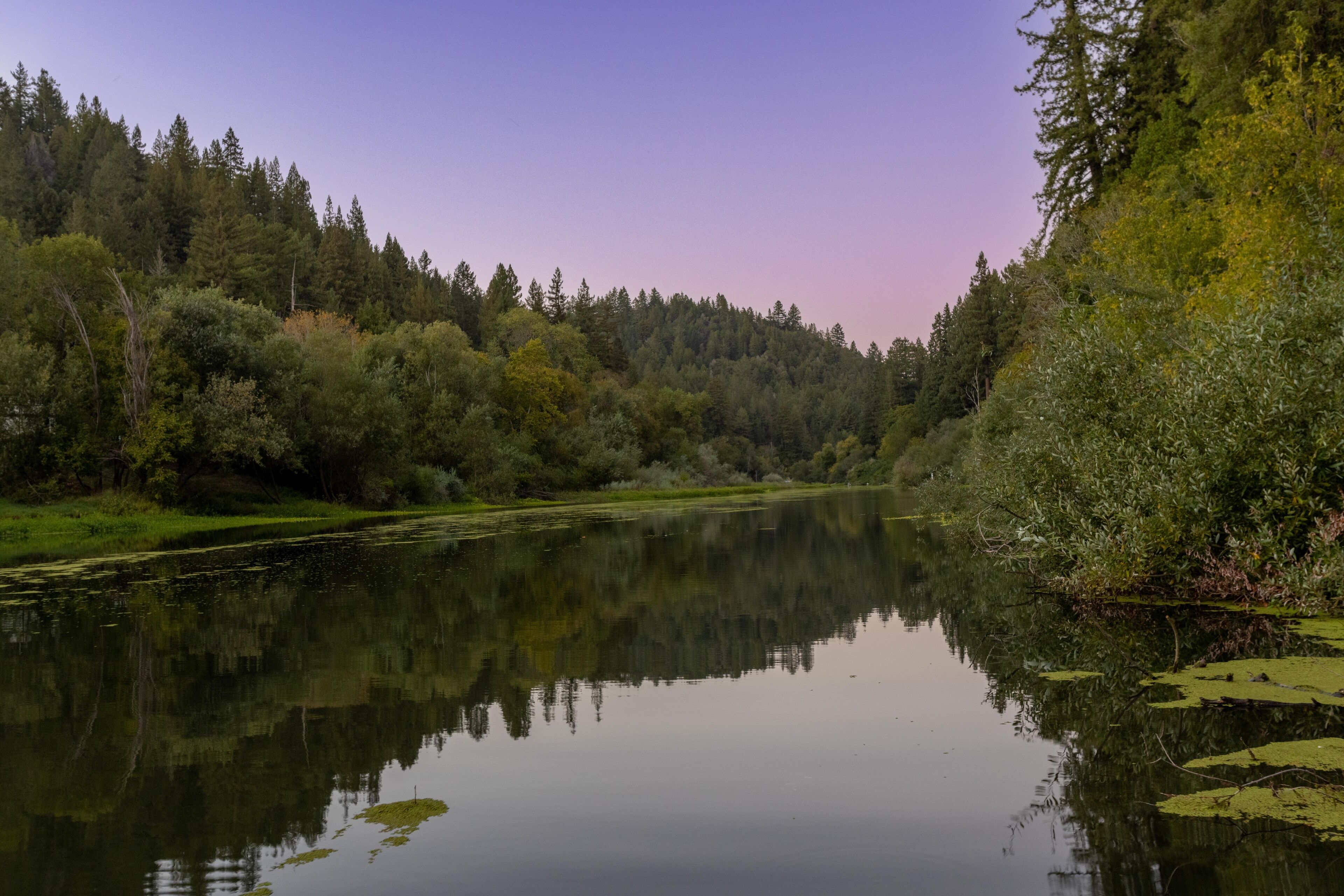 A calm river reflecting trees and sky.