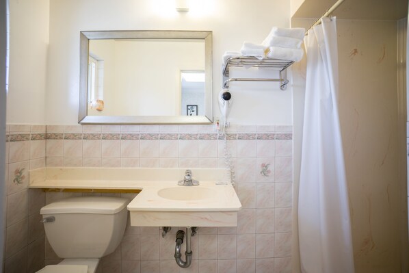Une salle de bain équipée d’un WC, d’un lavabo, d’un miroir, d’un porte-serviettes et d’un rideau de douche.