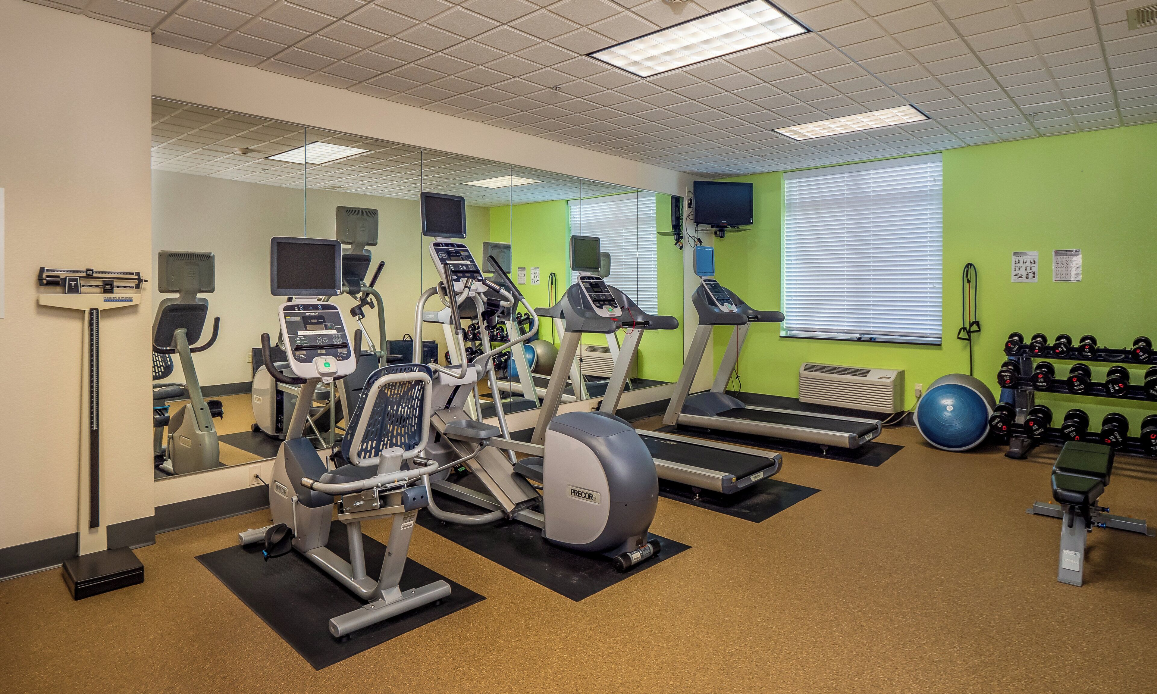 A gym with treadmills, elliptical machines, and a variety of weights.
