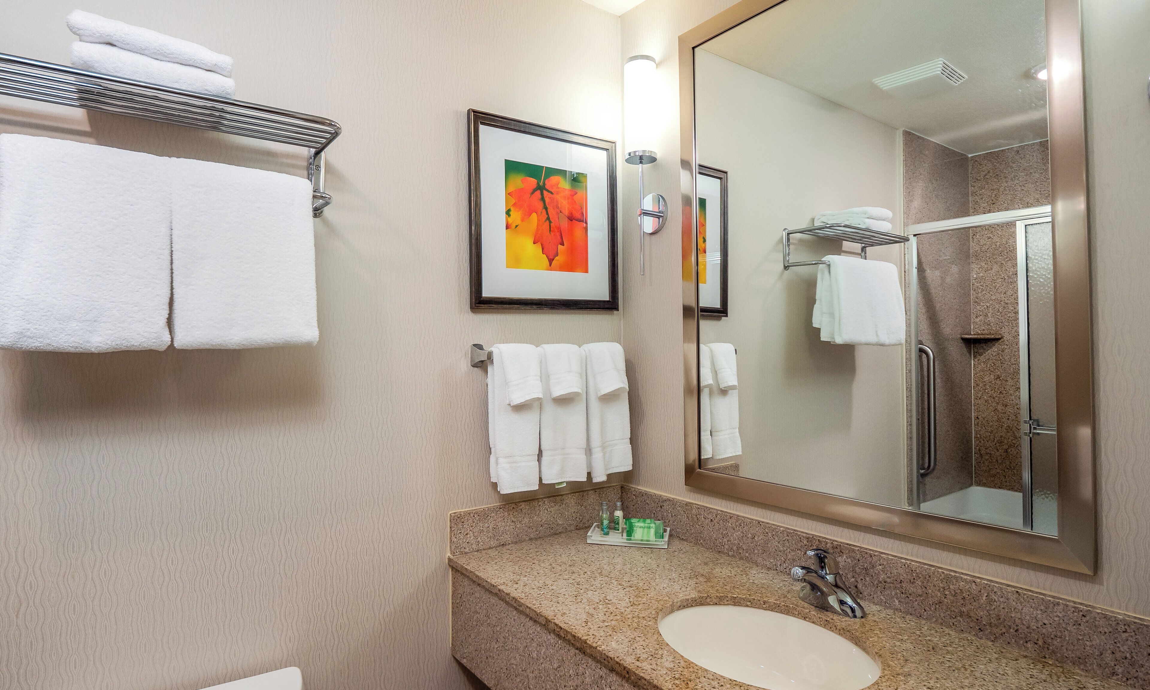 A bathroom with a sink, mirror, towel rack, and framed artwork.