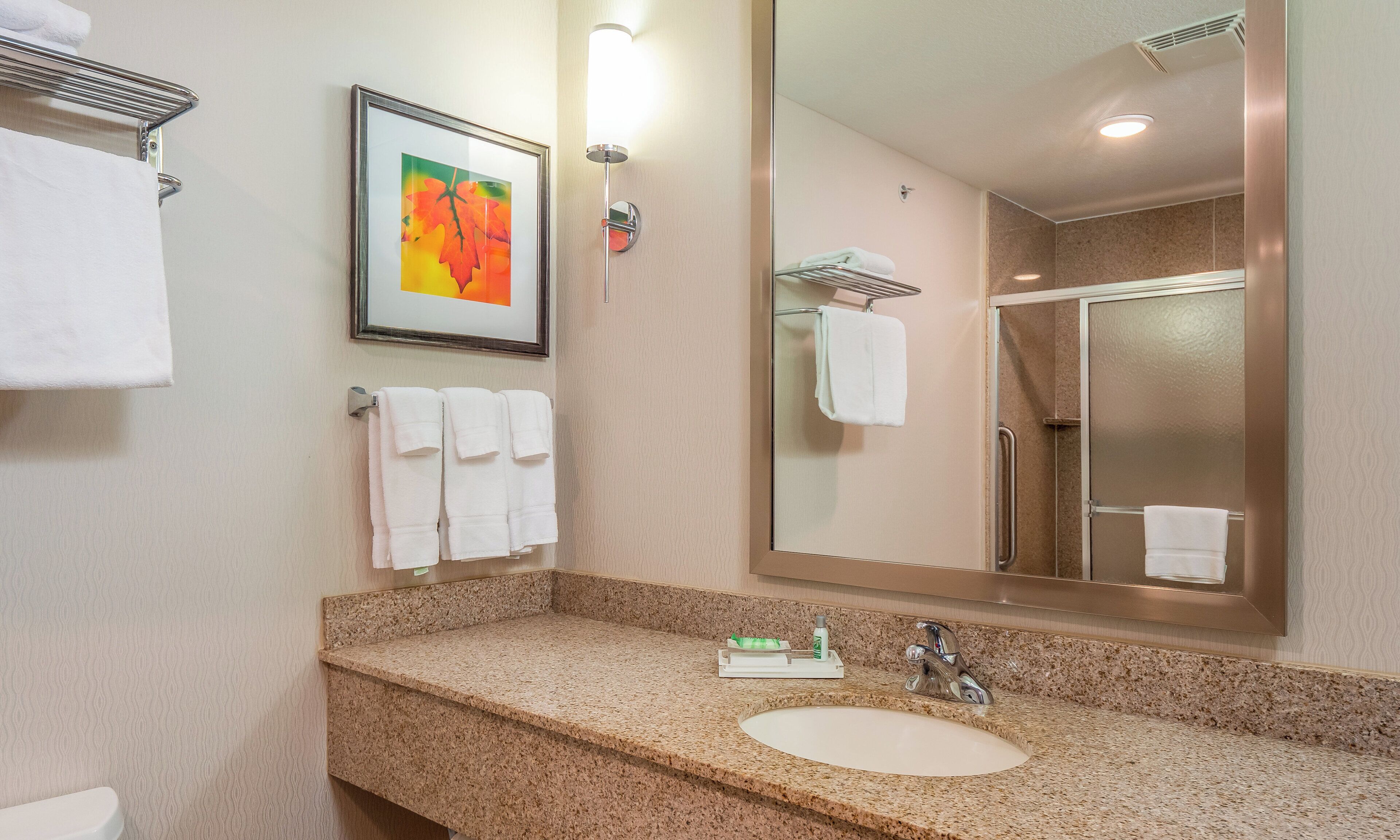 A bathroom with a granite countertop, a sink, a mirror, and a framed picture on the wall.