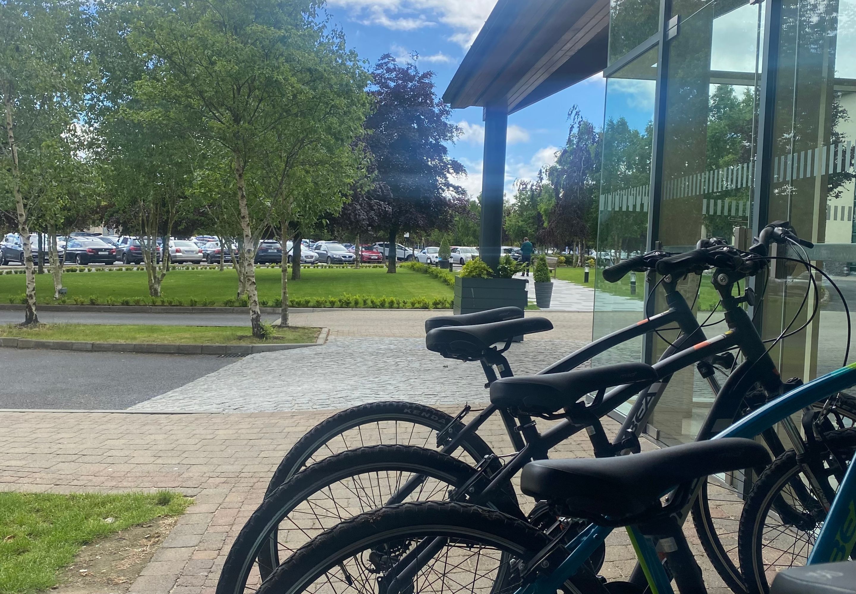 A parking area with bicycles, a building with glass windows, and a grassy area with trees.