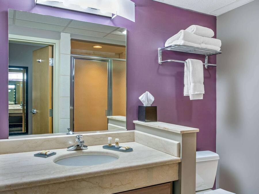 Een badkamer met een marmeren wastafel, een spiegel, een handdoekhouder en een toilet.