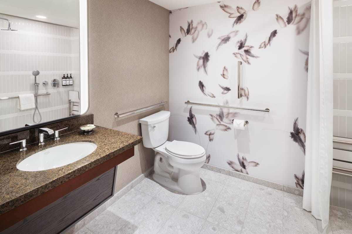 combined shower/bathtub, free toiletries, hair dryer, towels