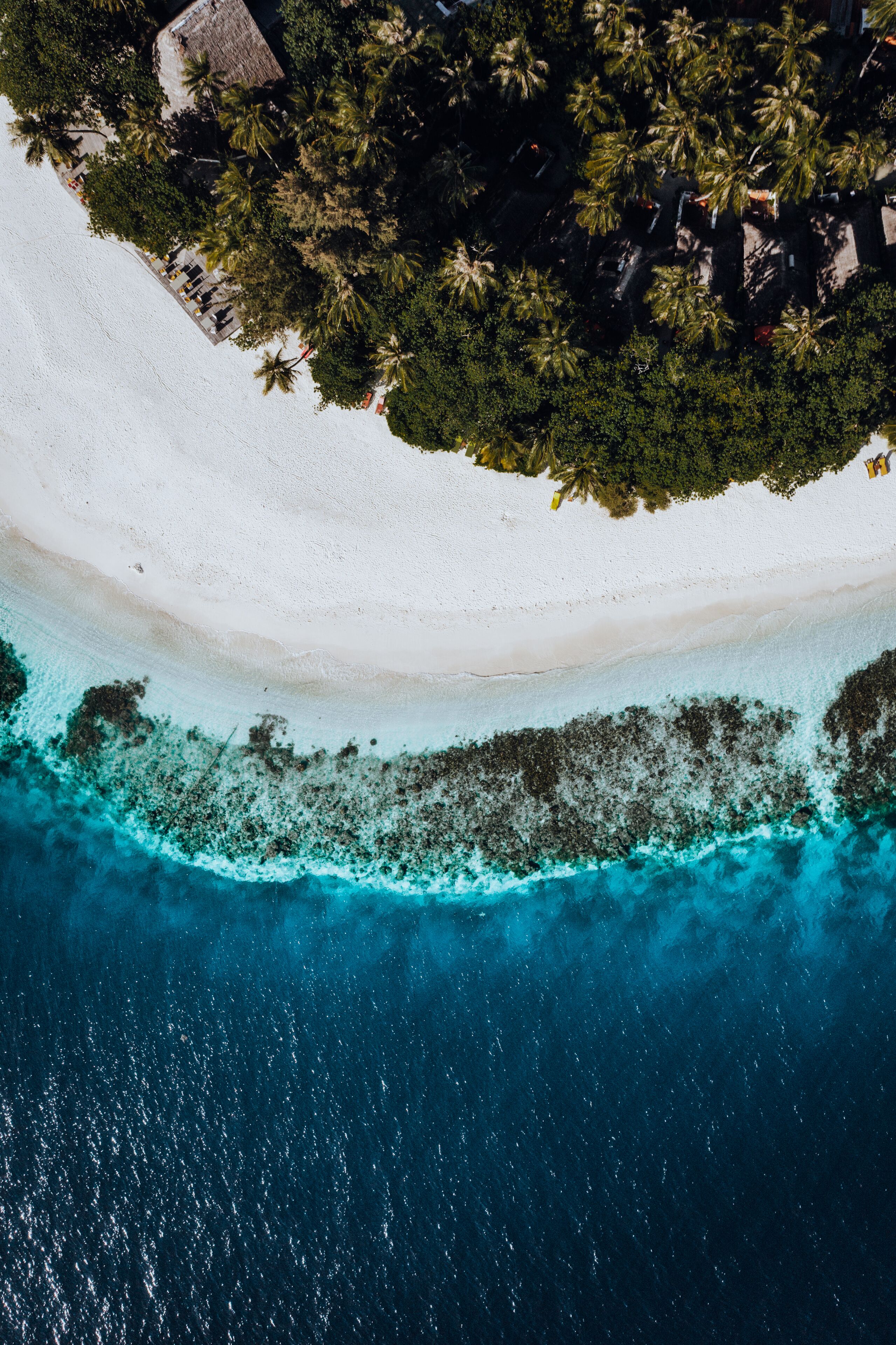 An aerial view of a beach with white sand, clear turquoise water, and dense green foliage.