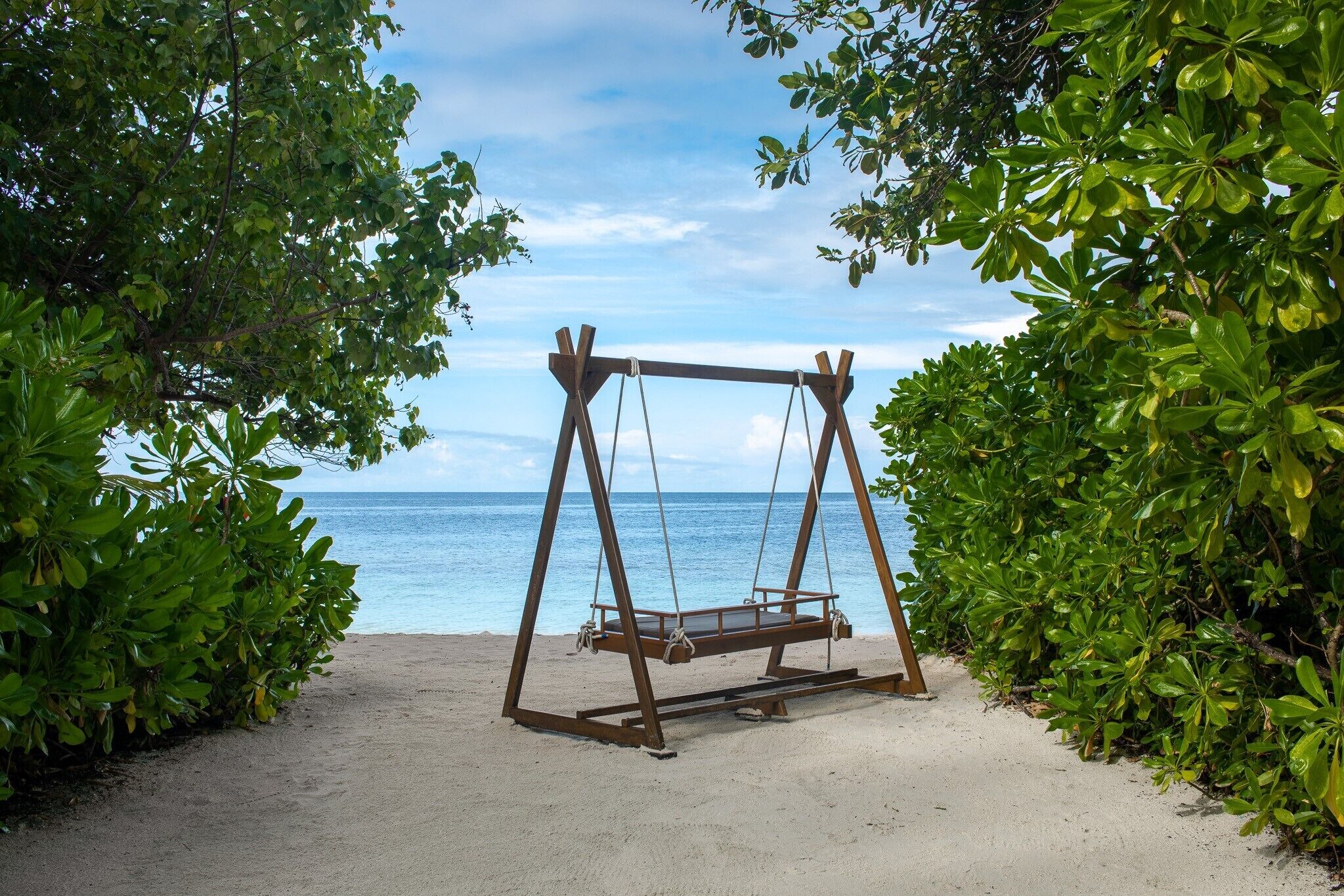 A wooden swing set on a sandy beach with dense foliage on either side and a clear view of the ocean.