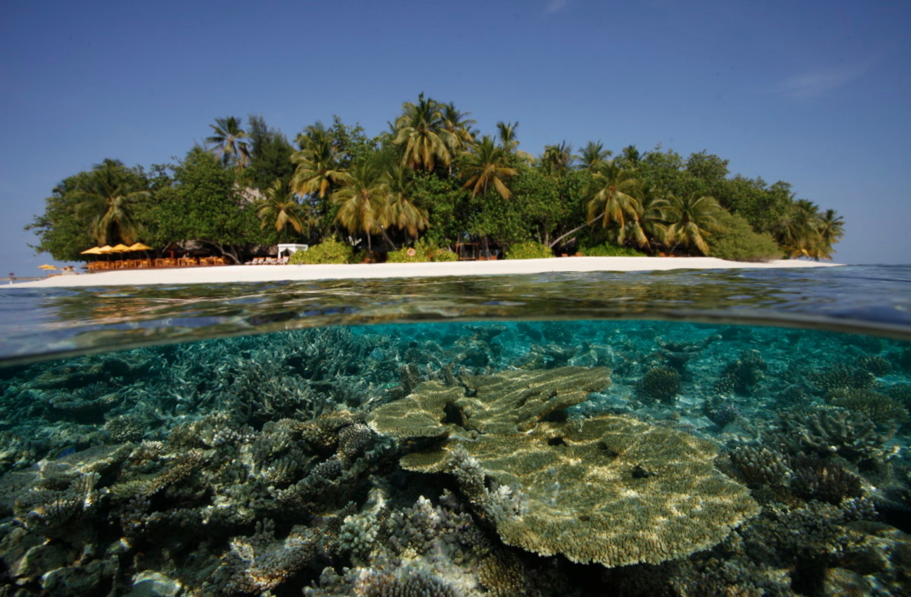 Una isla tropical con aguas turquesas cristalinas, arrecifes de coral y palmeras.