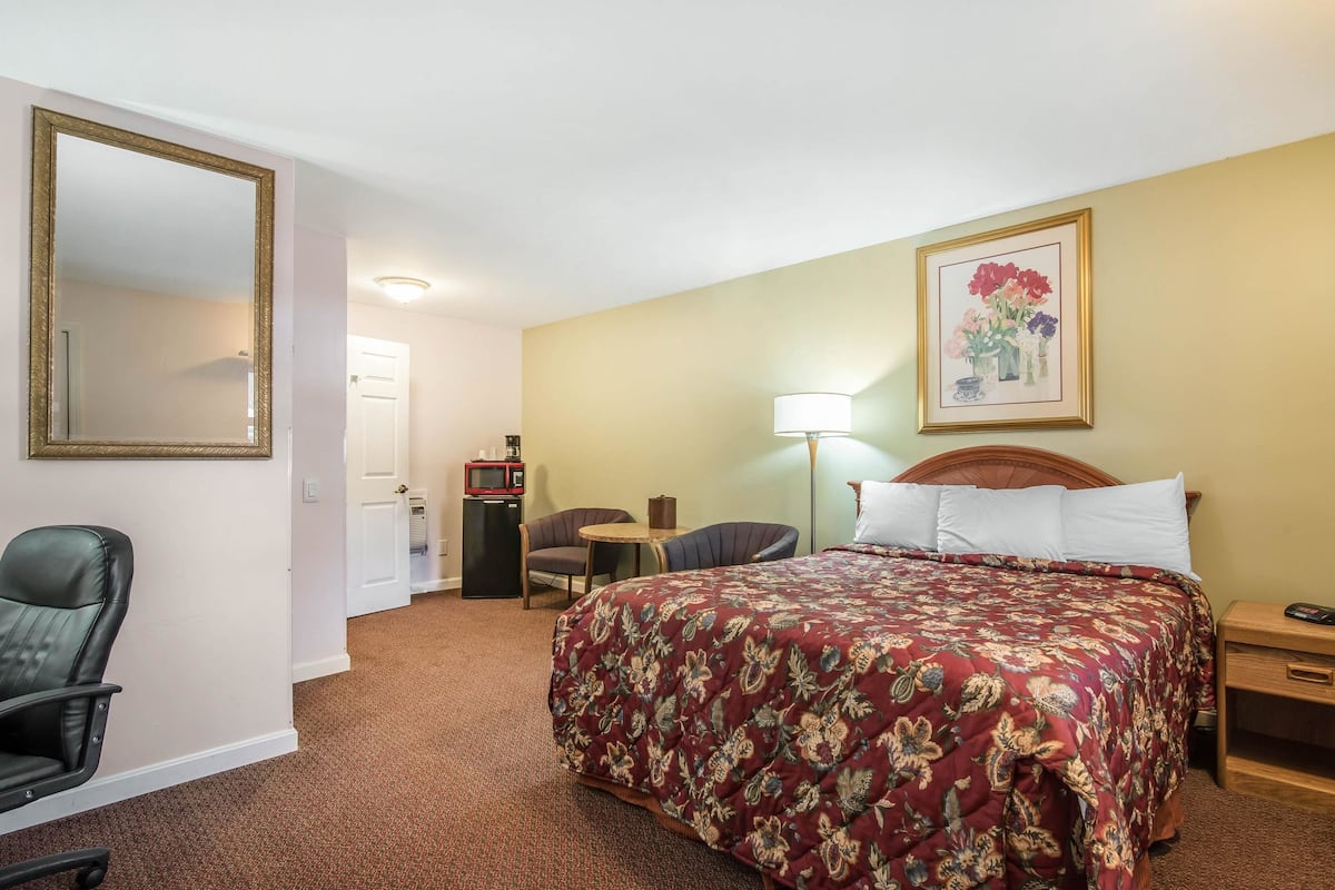 Quarto de hotel com uma cama grande, uma escrivaninha, uma cadeira, um espelho, um abajur e um quadro na parede.