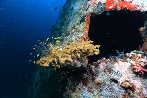 An underwater scene with coral formations and small fish.