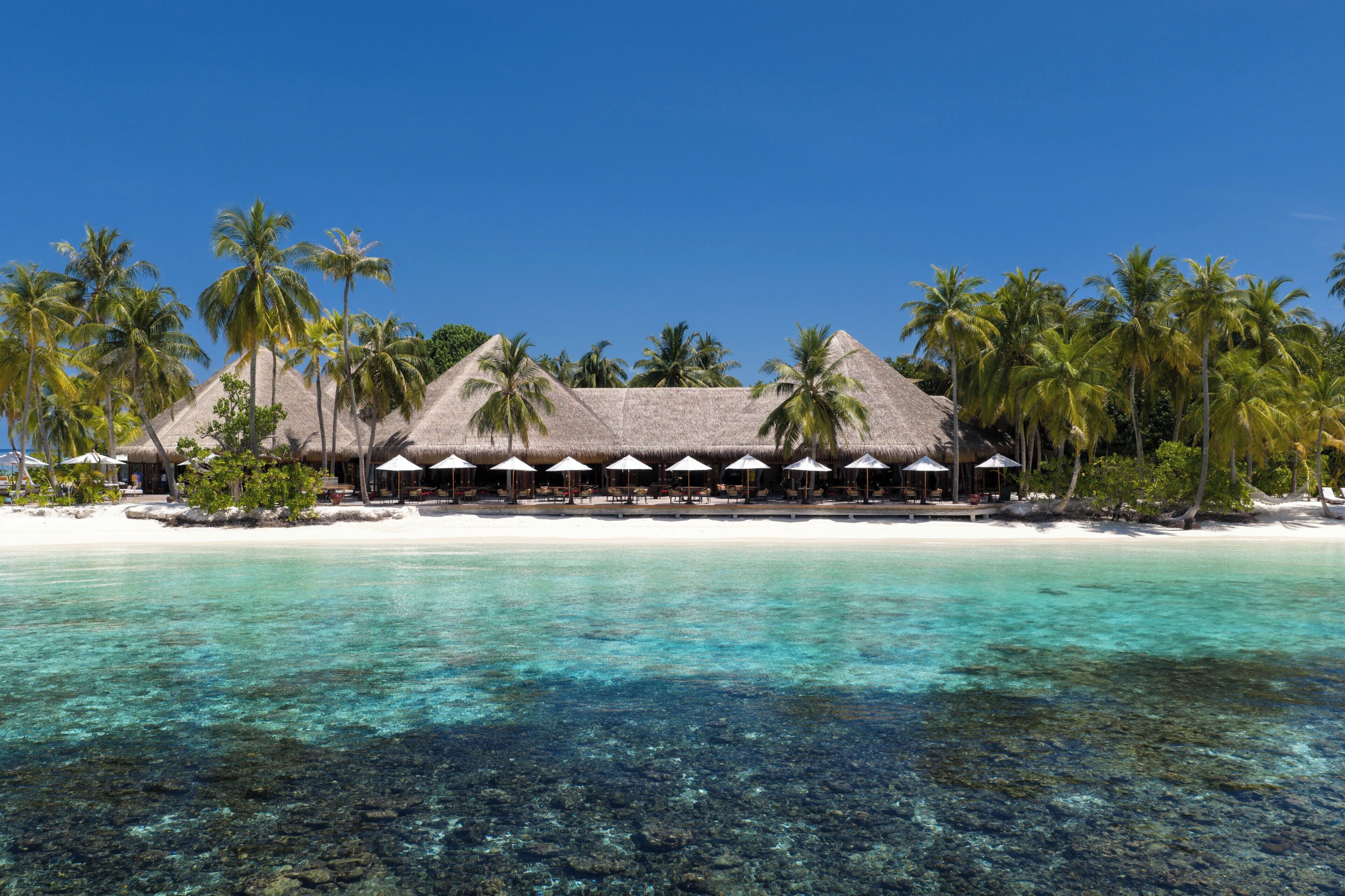 Una località balneare con bungalow sull'acqua, acque turchesi cristalline e palme.