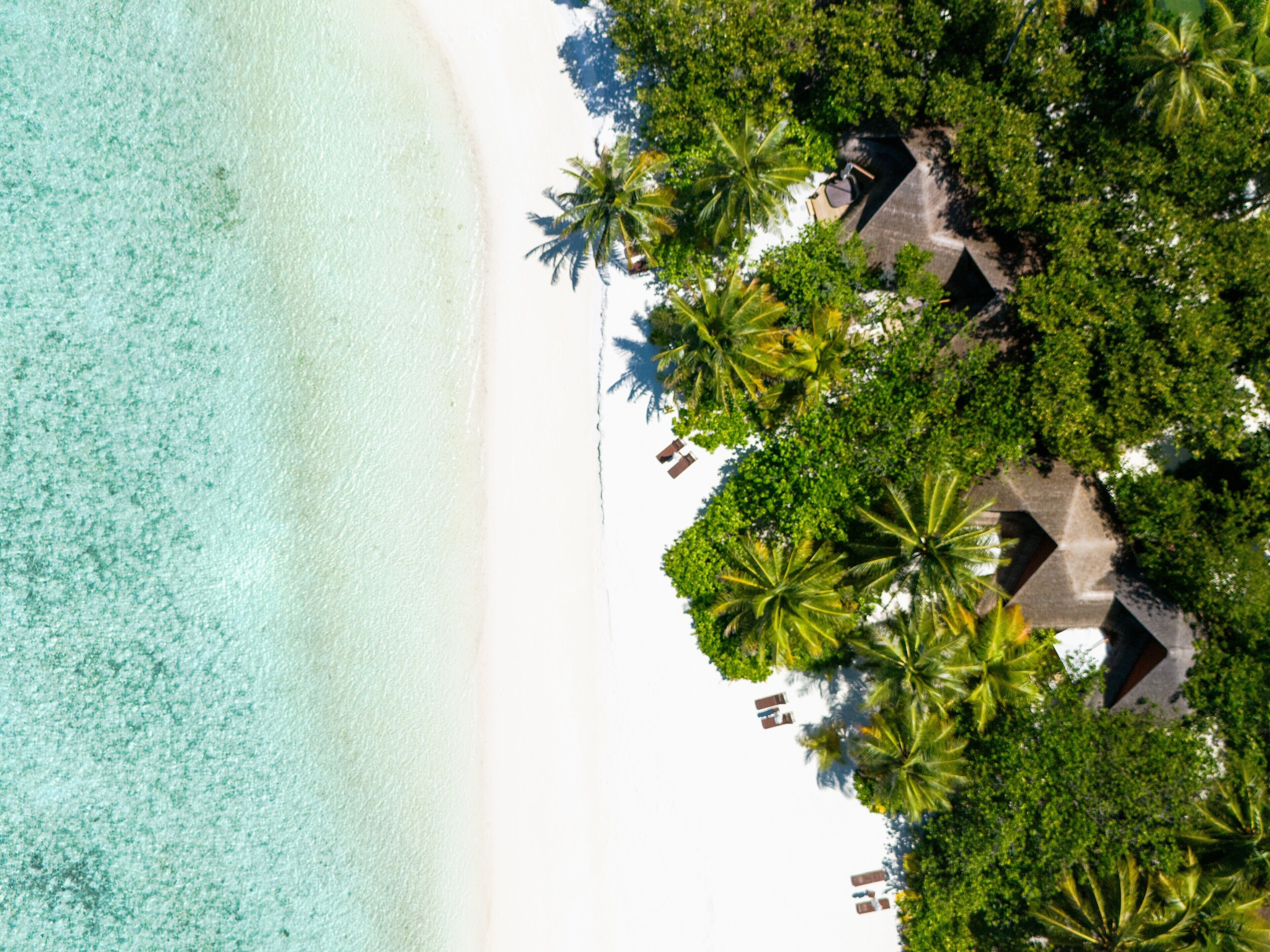 An aerial view of a beach resort with clear turquoise waters, palm trees, and thatched-roof huts.