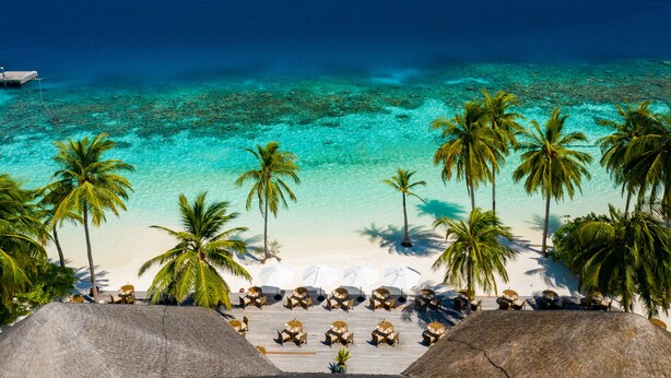 Un resort en la playa con una terraza de madera, palmeras y vista al océano.