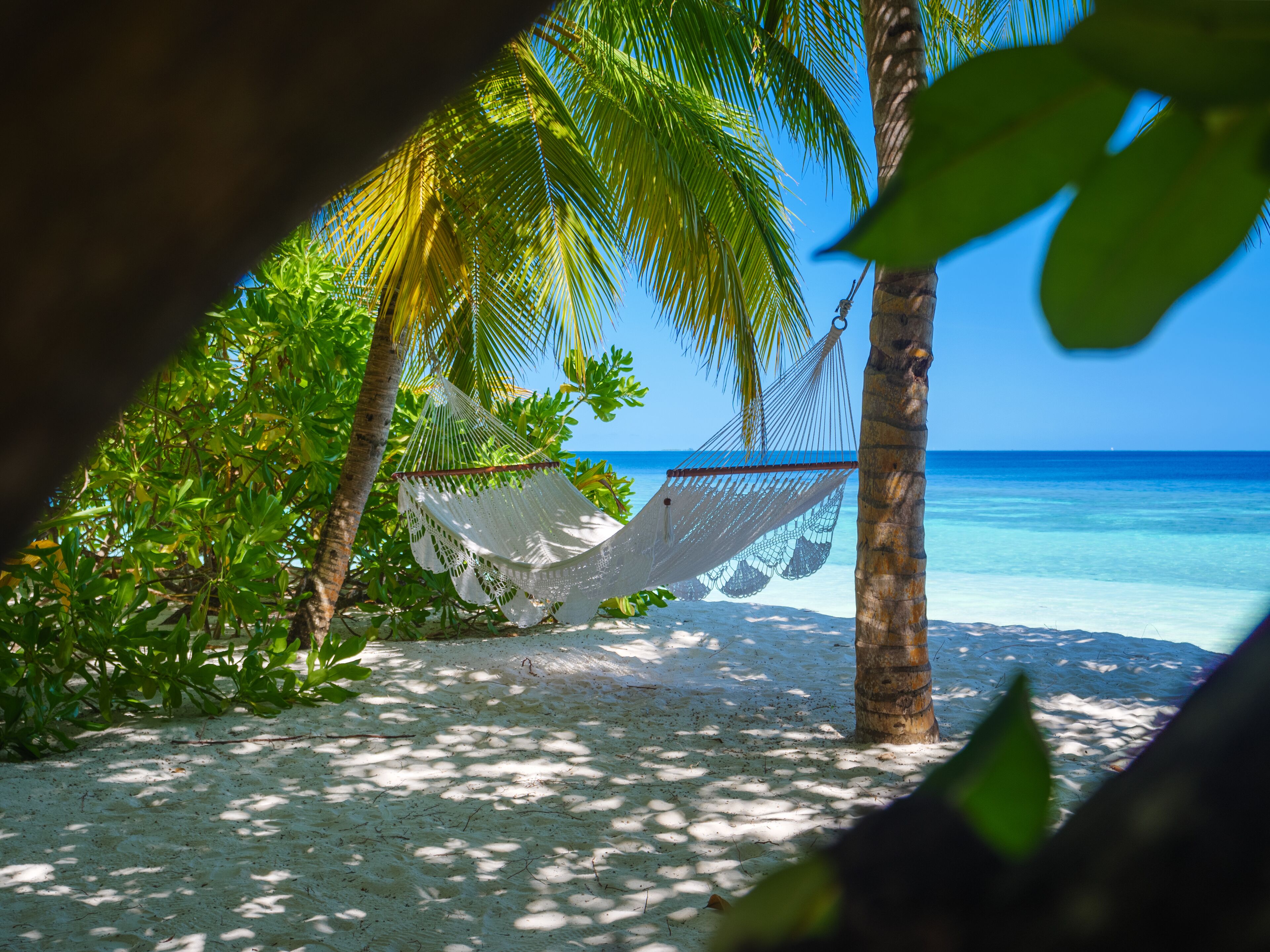 A hammock tied between palm trees on a sandy beach with clear blue water in the background.