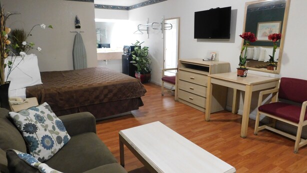 Habitació d'hotel amb llit, escriptori, cadira, sofà, televisió i planta.