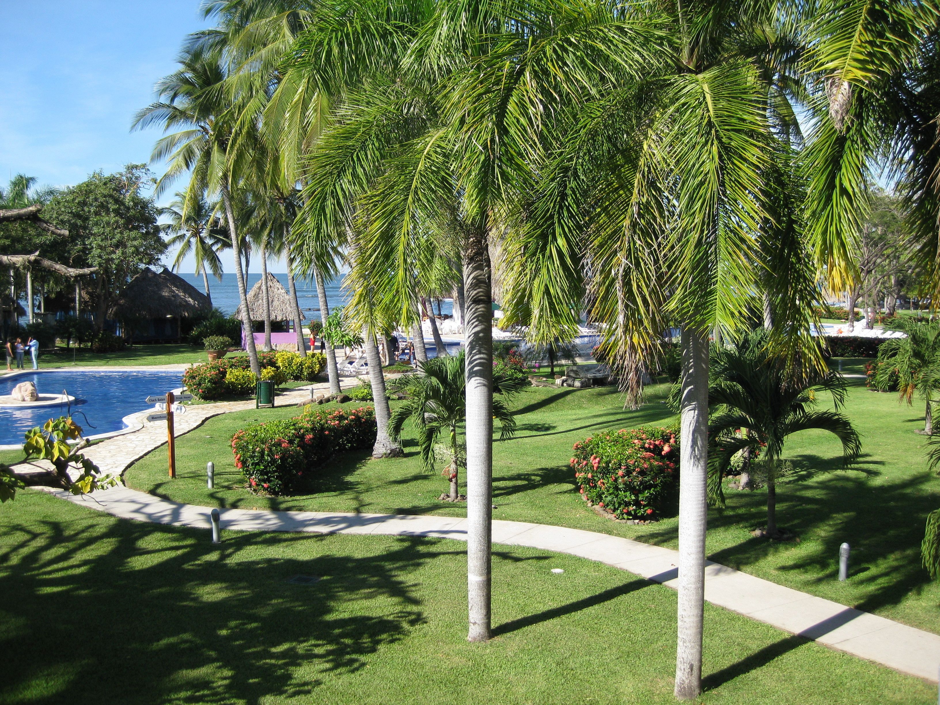 A pool area with palm trees, a thatched-roof structure, and a clear view of the ocean.