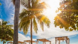 Una playa con palmeras, quioscos de madera y cielo despejado.
