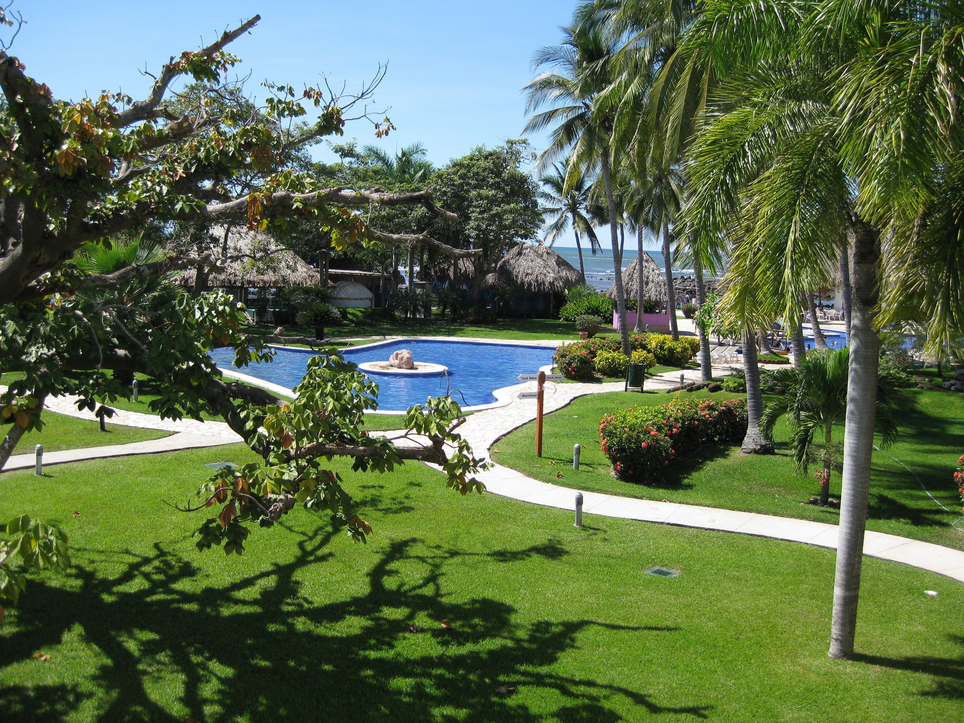 Una piscina rodeada de exuberante vegetación y palmeras, con un cielo azul despejado.