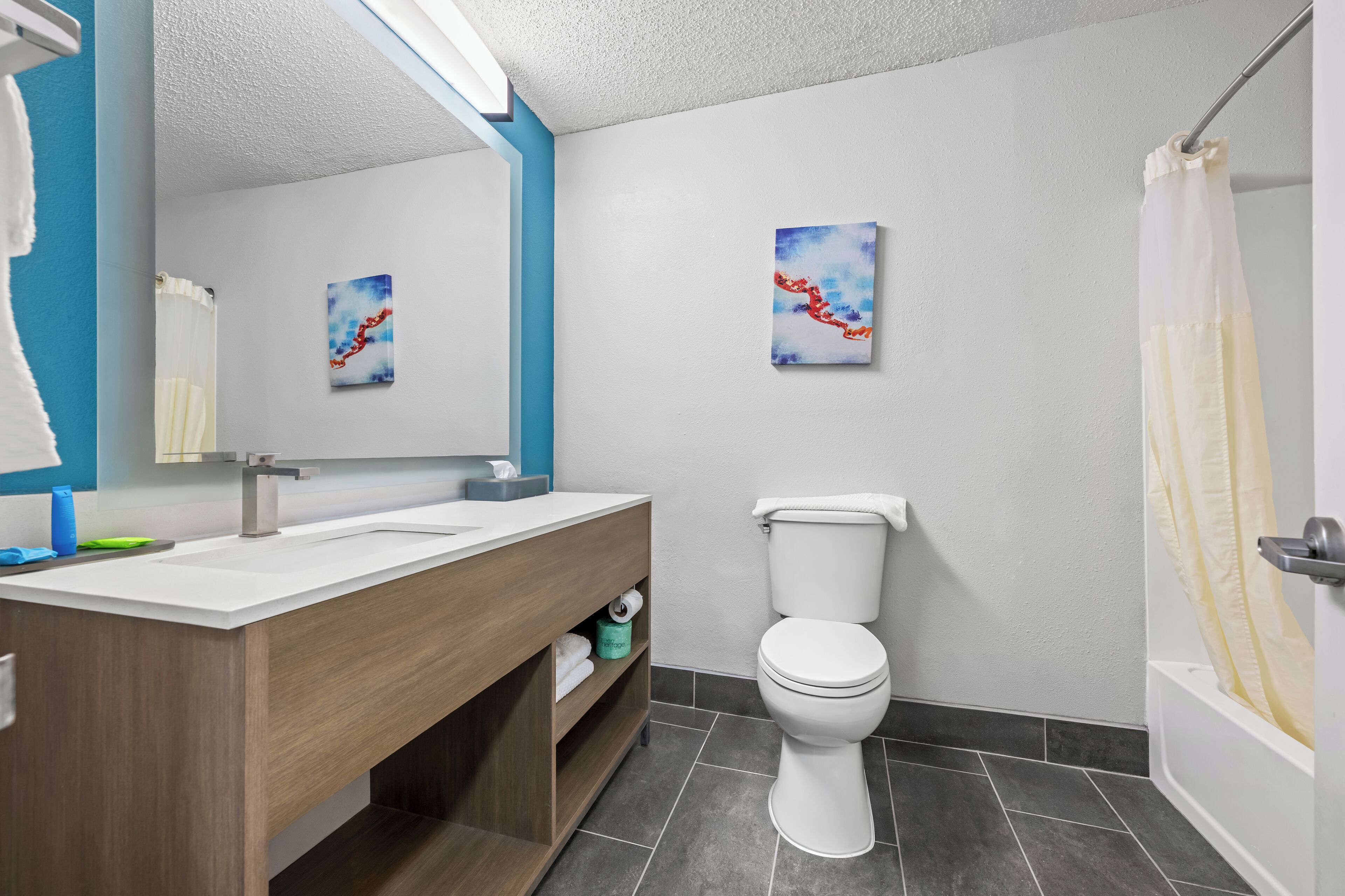 Une salle de bain moderne avec un meuble-lavabo en bois, un lavabo blanc et des toilettes. Deux œuvres d’art sont accrochées au mur, et on aperçoit une partie d’un rideau de douche.