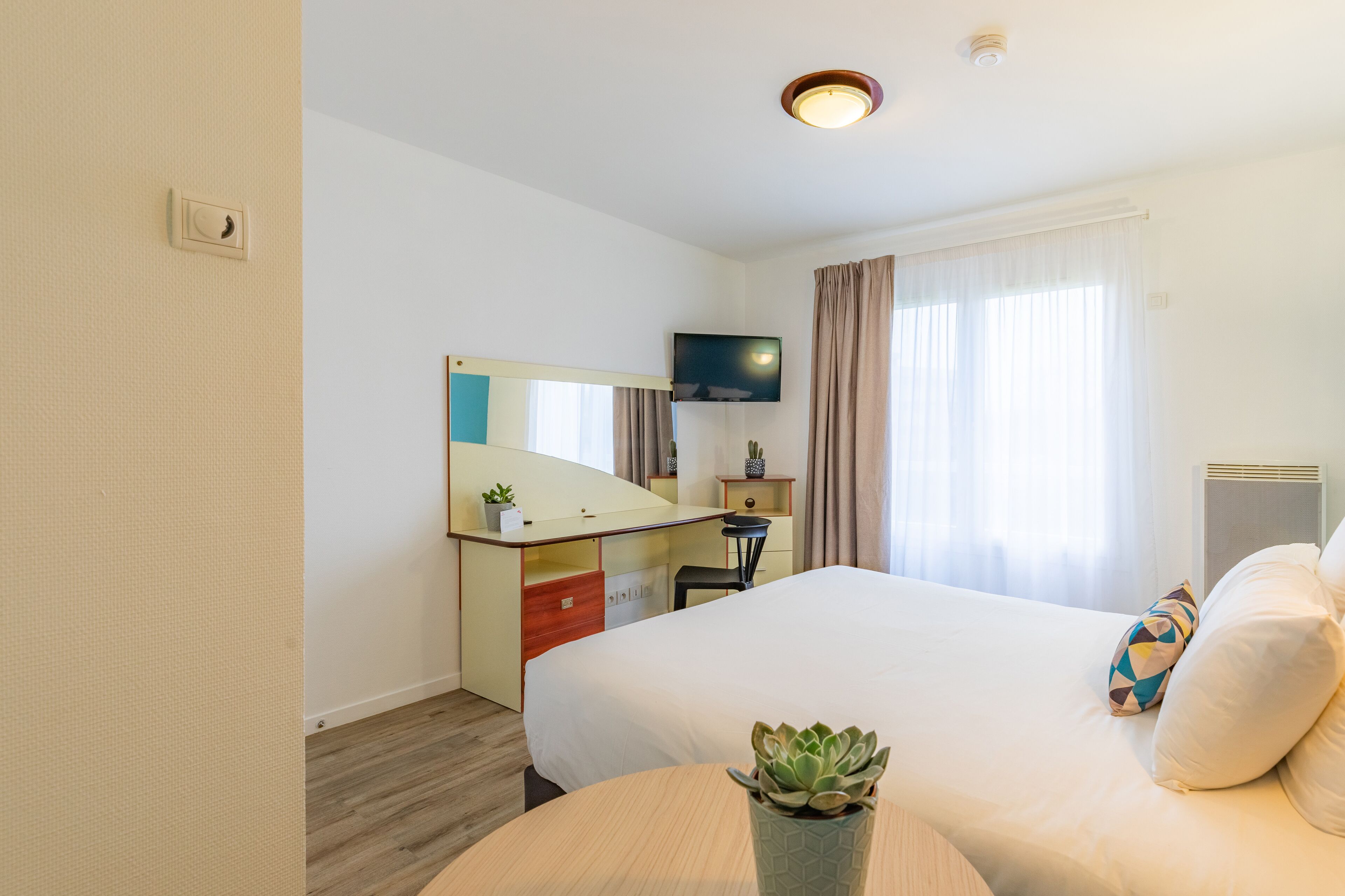 Habitación de hotel con cama, escritorio, silla, televisor y una planta pequeña.