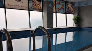 An indoor swimming pool with clear glass walls, metal pool ladders, and a potted plant on the windowsill. - Weiser Hotel (Wroclaw)