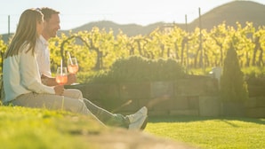 Ein Paar sitzt mit Getränken auf der Wiese, umgeben von Weinbergen.