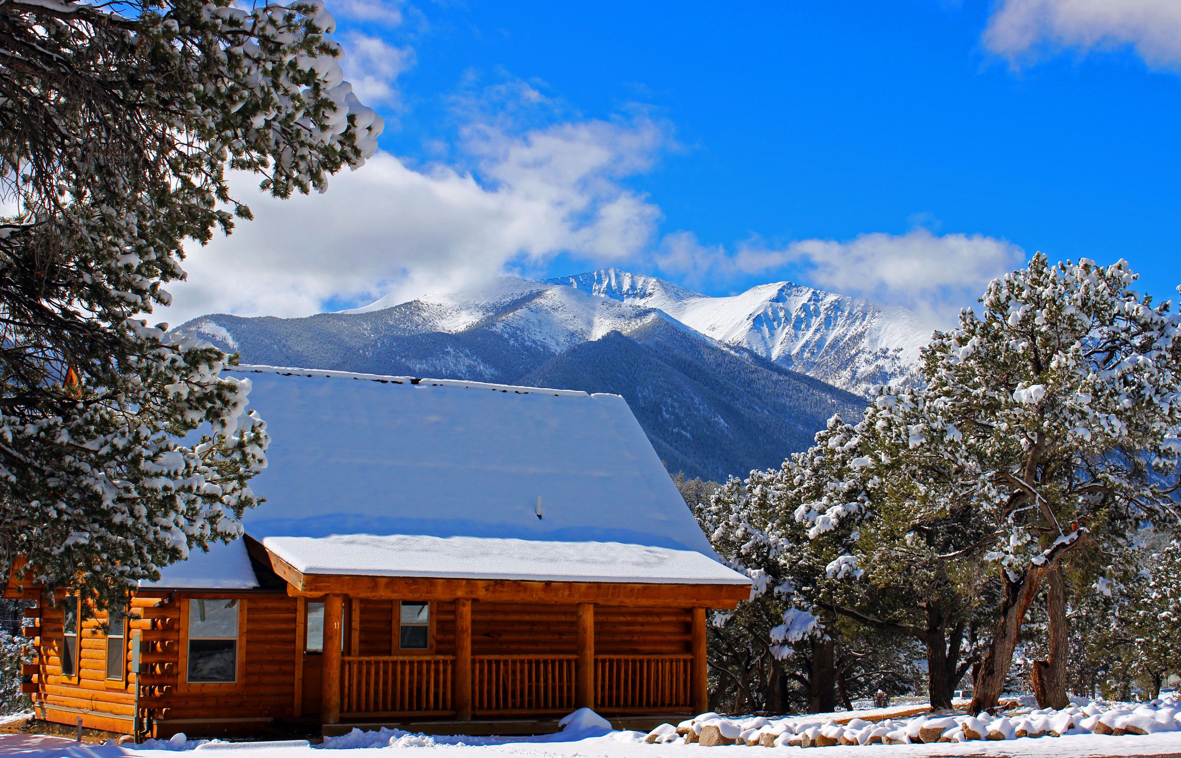 Cabin, Multiple Beds (Large, with 4 beds N/S) | Iron/ironing board, free cribs/infant beds, Internet, bed sheets