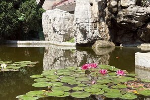 A pond with lily pads and pink water lilies, surrounded by large rock formations. - Orient Haitian Guibin Hotel (Yantai)
