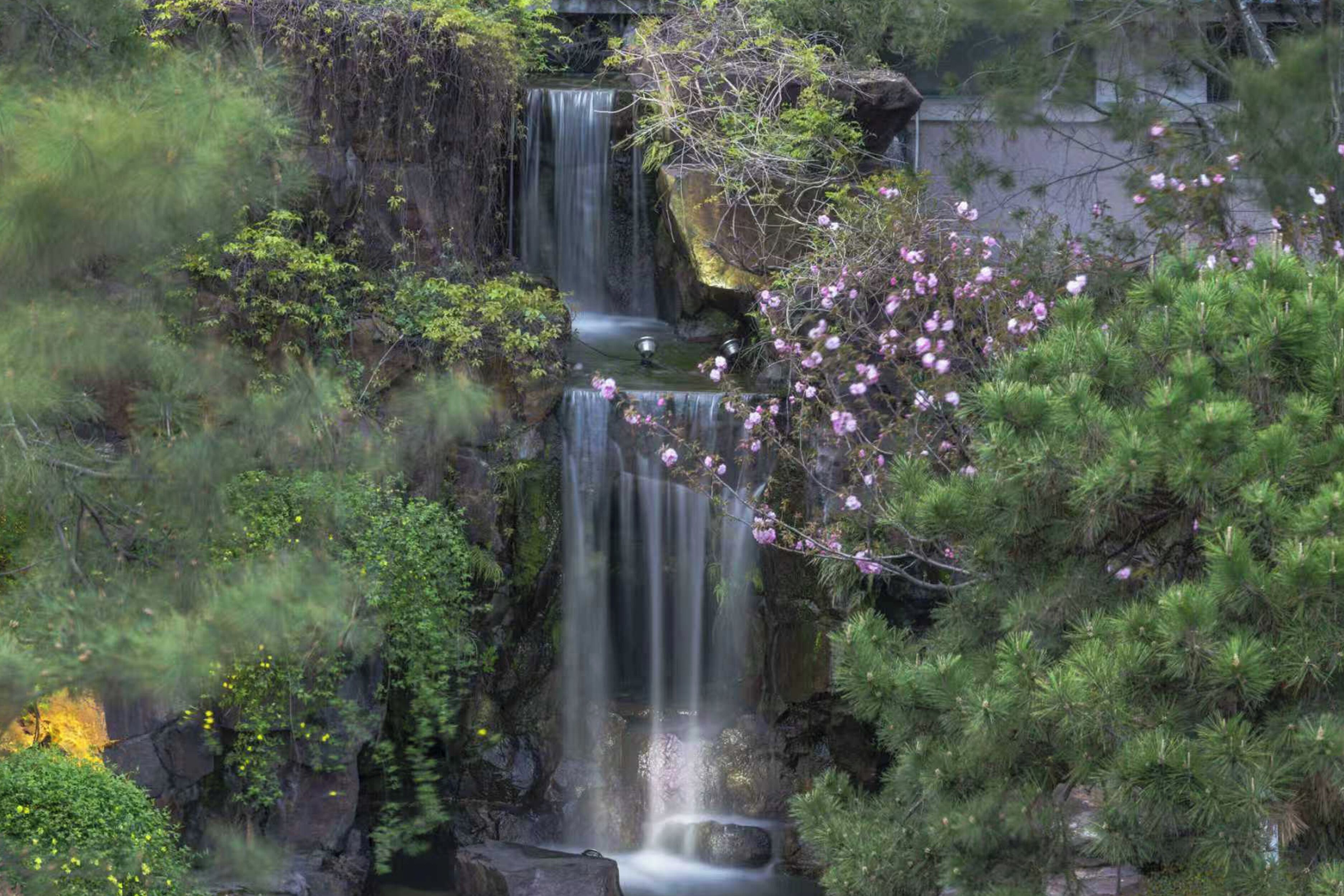 Una cascada fluye sobre rocas rodeadas de vegetación densa y árboles en flor.