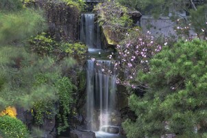 Uma cascata desce sobre rochas, cercada por vegetação densa e árvores floridas.