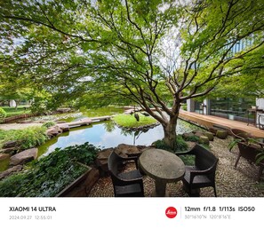Hageutsikt