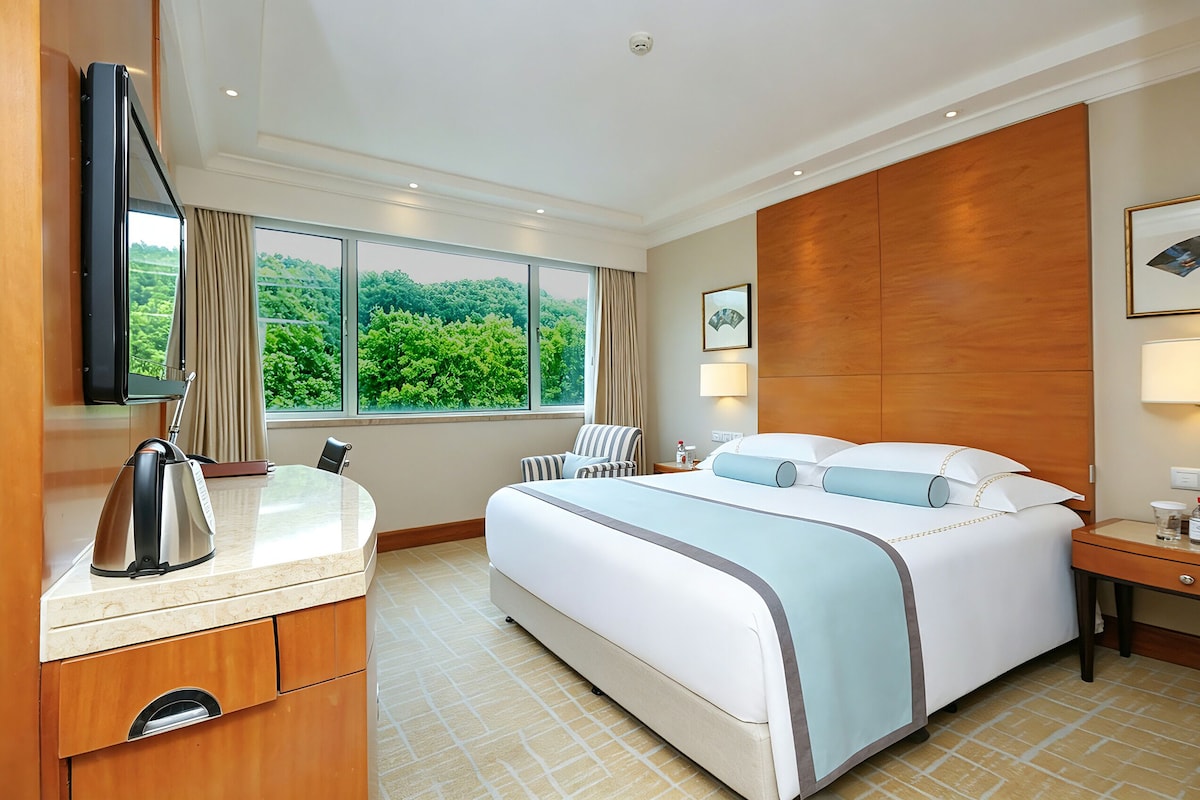 A hotel room with a bed, a desk, a chair, a TV, and a window with a view of greenery.