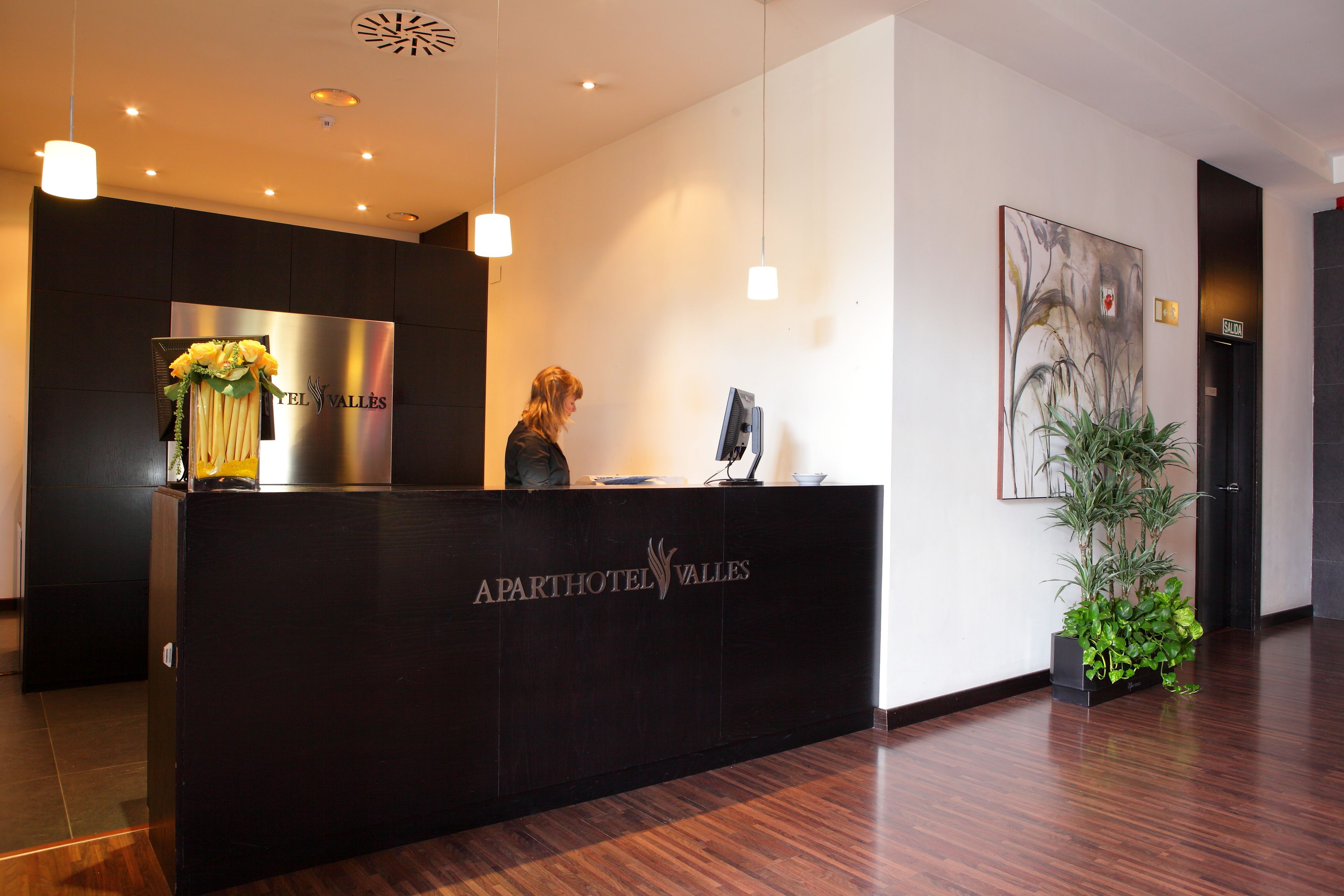A reception desk with a sign reading "APARTHOTEL VALLES" and a receptionist. There is a potted plant and a painting on the wall.