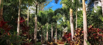 Marrakesh Apartments