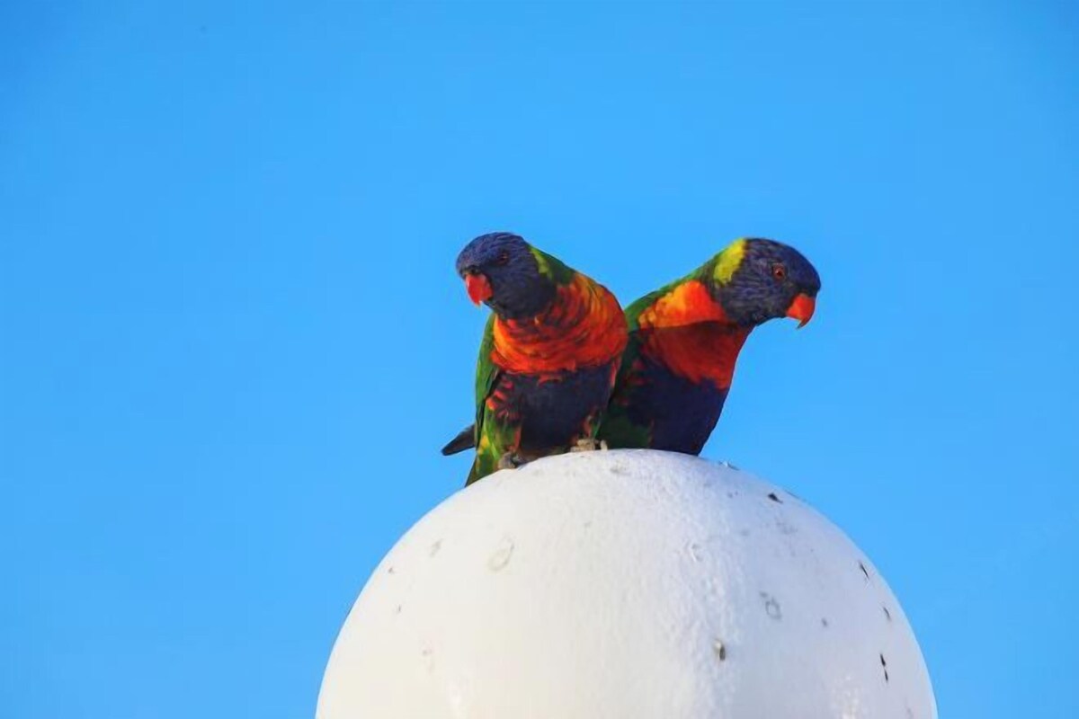 기타