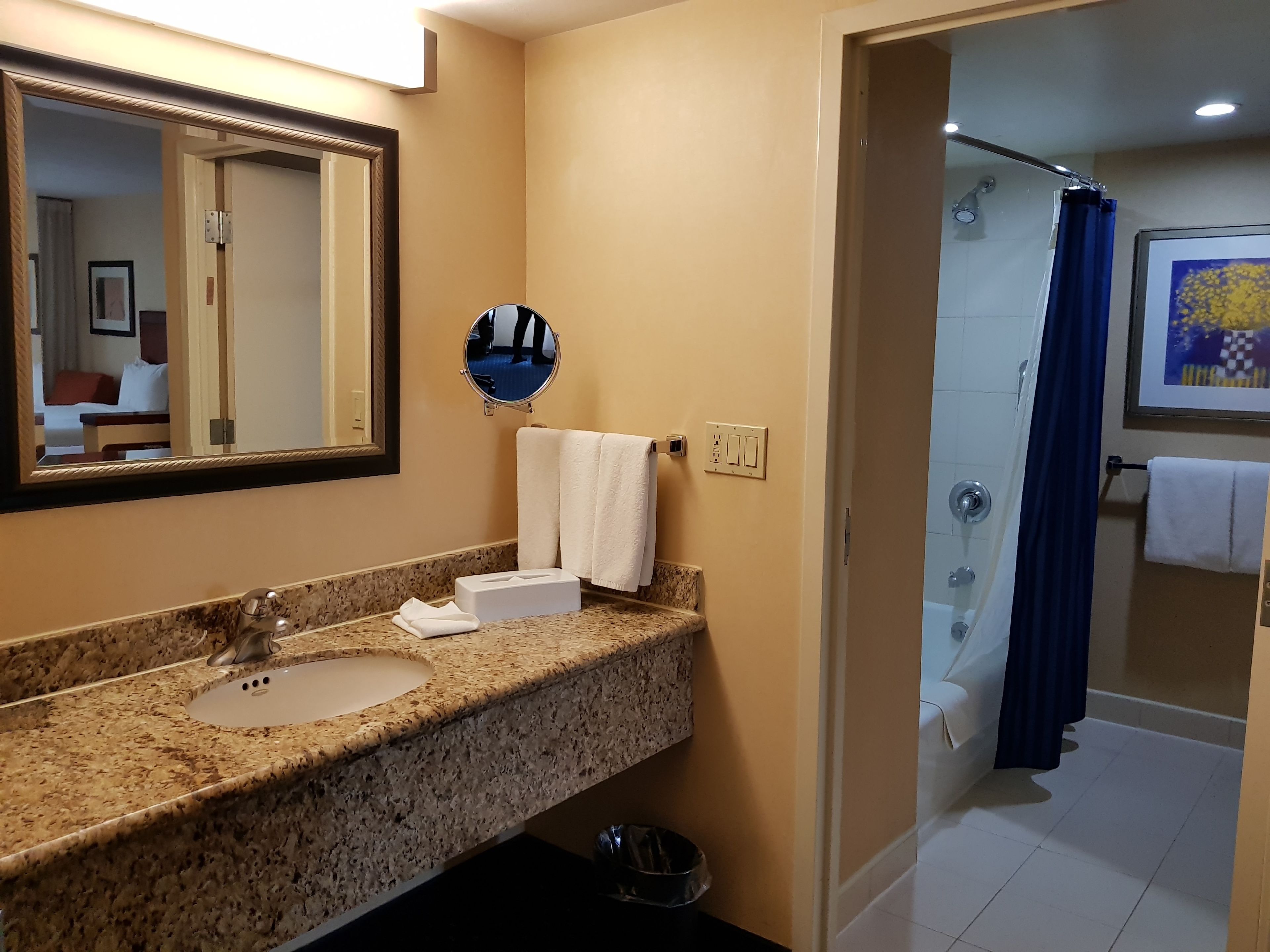 deluxe room, 1 king bed with sofa bed | bathroom | combined shower/bathtub, free toiletries, hair dryer, towels