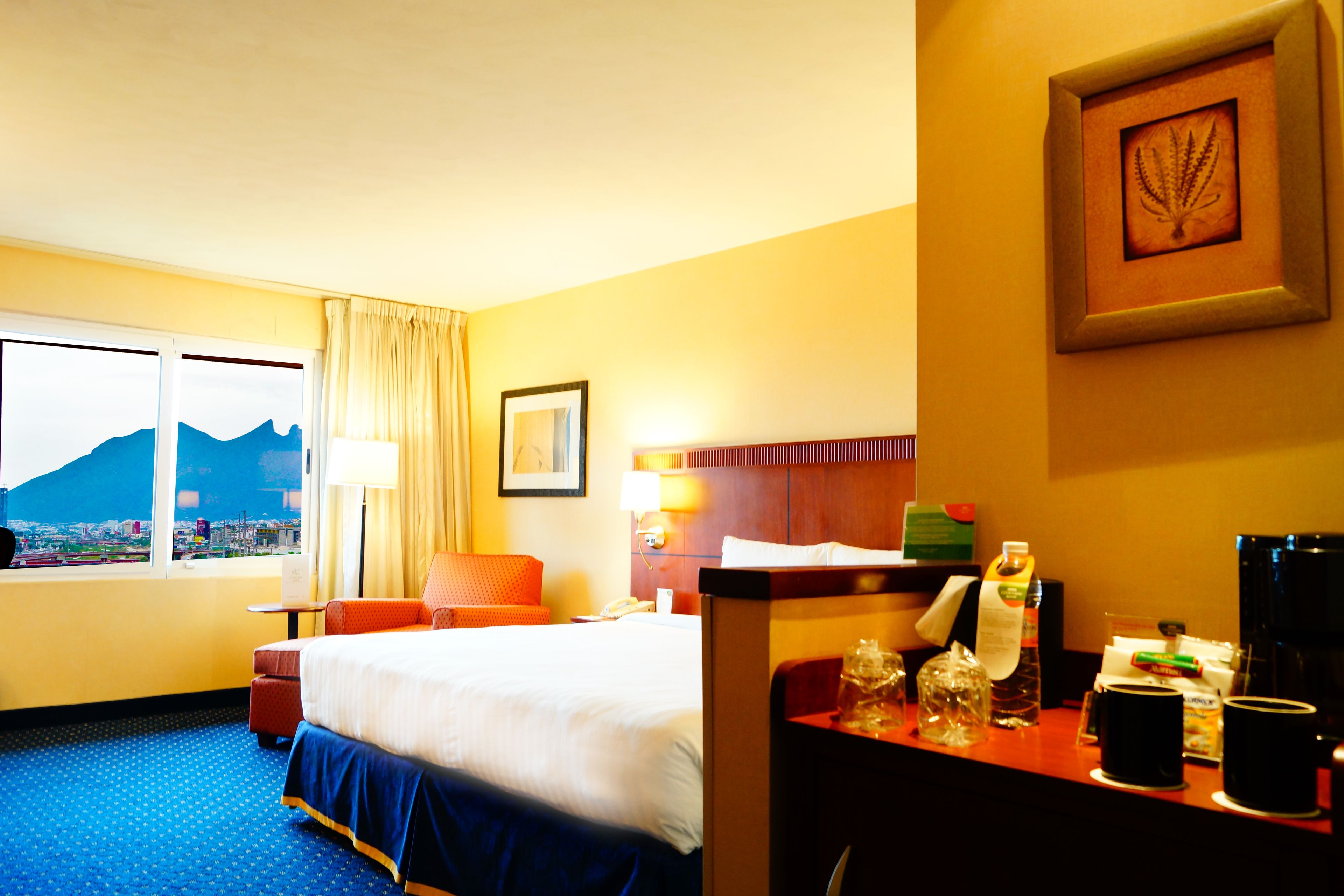 Habitación Deluxe, 1 cama King size y sofá cama | Vista desde la habitación