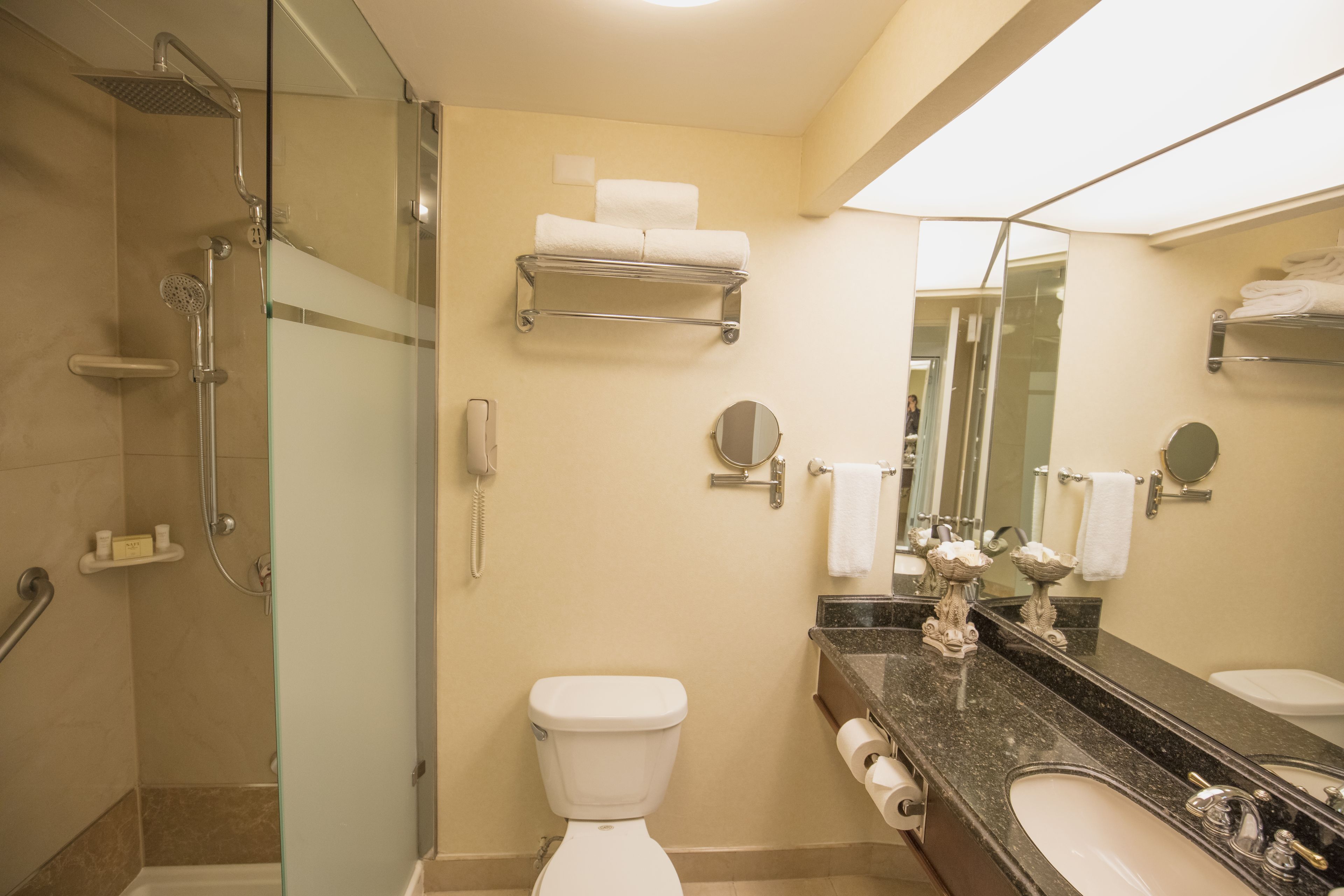 A bathroom with a shower, toilet, sink, and mirrors.