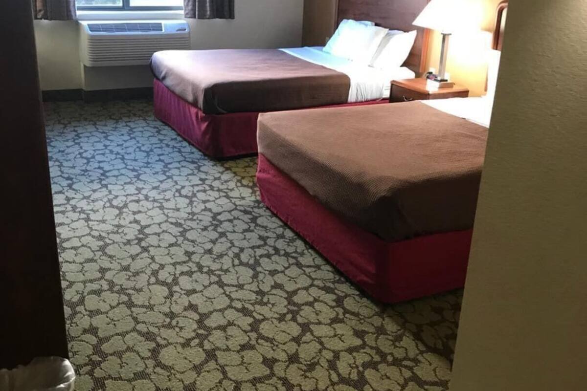 Habitación de hotel con dos camas, una ventana con cortinas, una lámpara y una alfombra estampada.