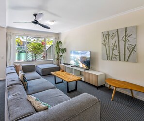 تلفزيون، مشغل دي في دي