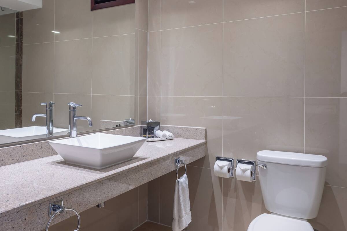 shower, rainfall showerhead, free toiletries, hair dryer