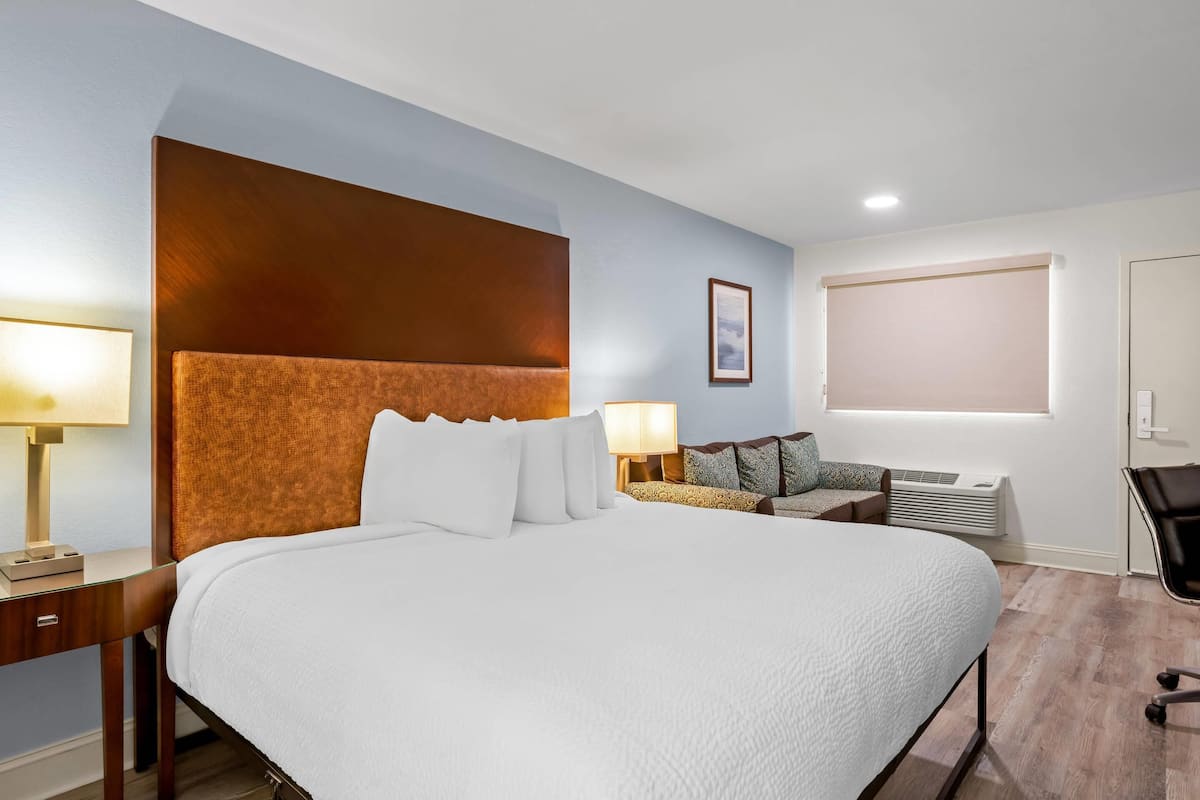 Standard Room, 1 King Bed with Sofa bed, Non Smoking | Down comforters, desk, blackout drapes, iron/ironing board