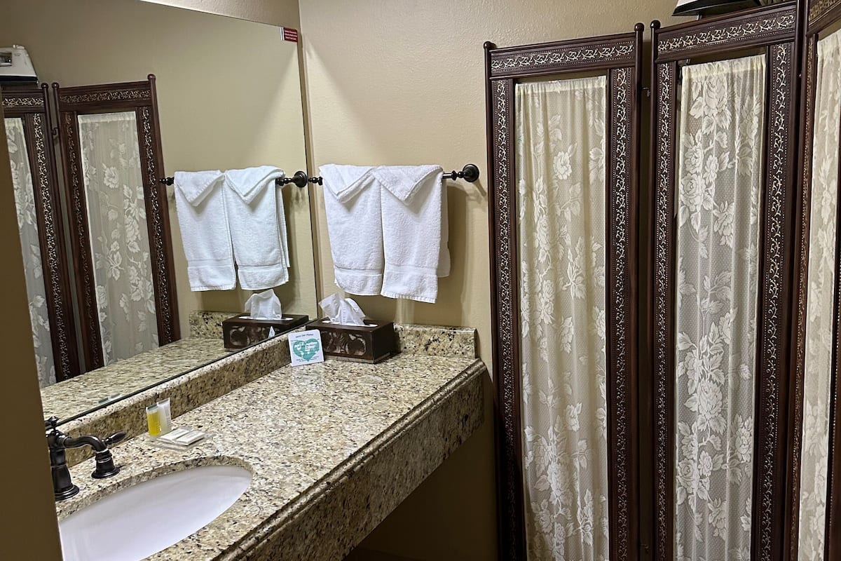 suite, 1 queen bed with sofa bed | bathroom | hair dryer, towels