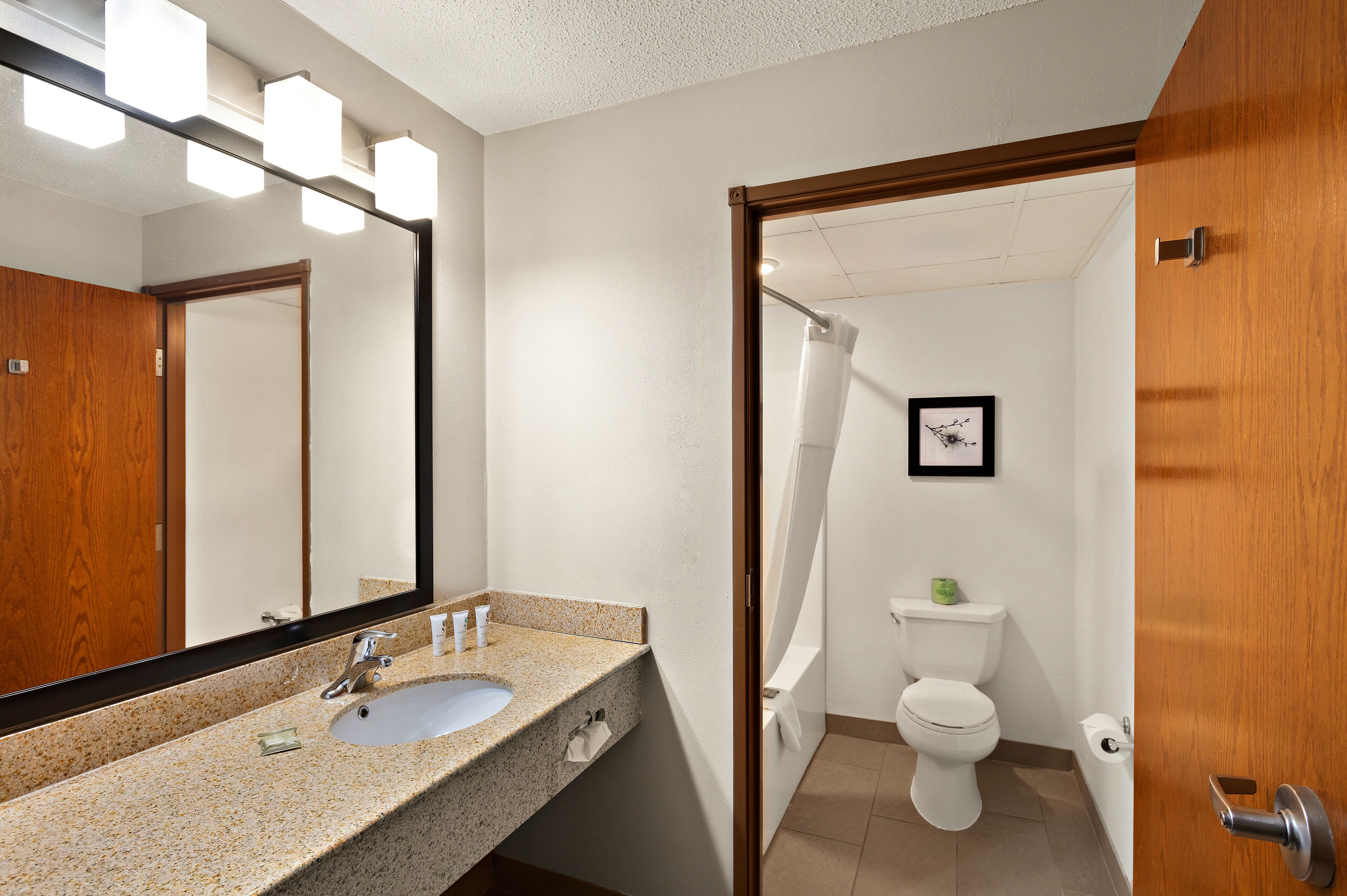 A bathroom with a granite sink, a mirror, a toilet, and a shower curtain.