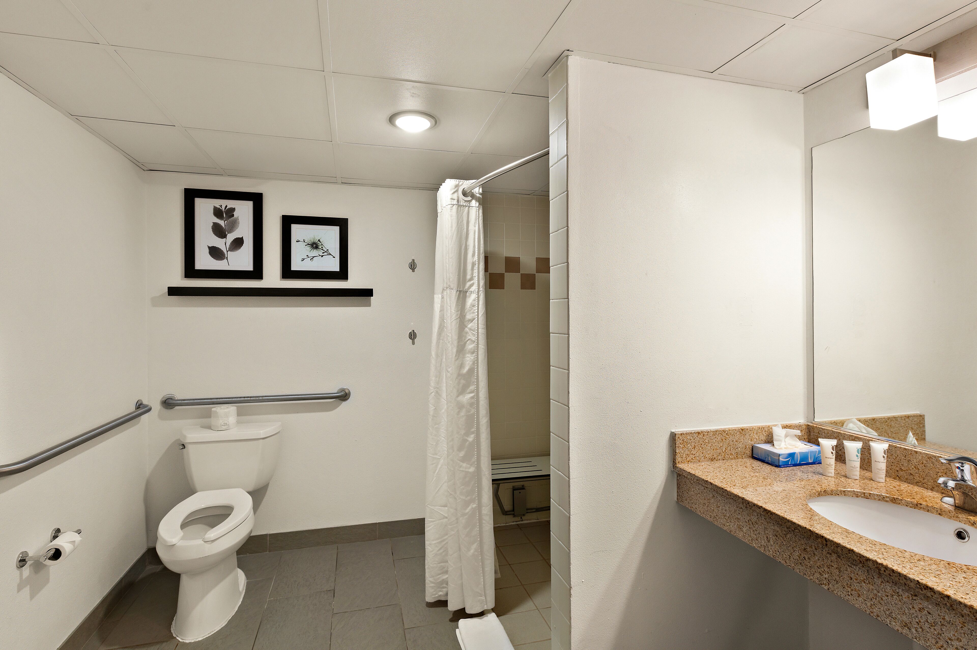 Een badkamer met toilet, wastafel, douche en fotolijstjes aan de muur.