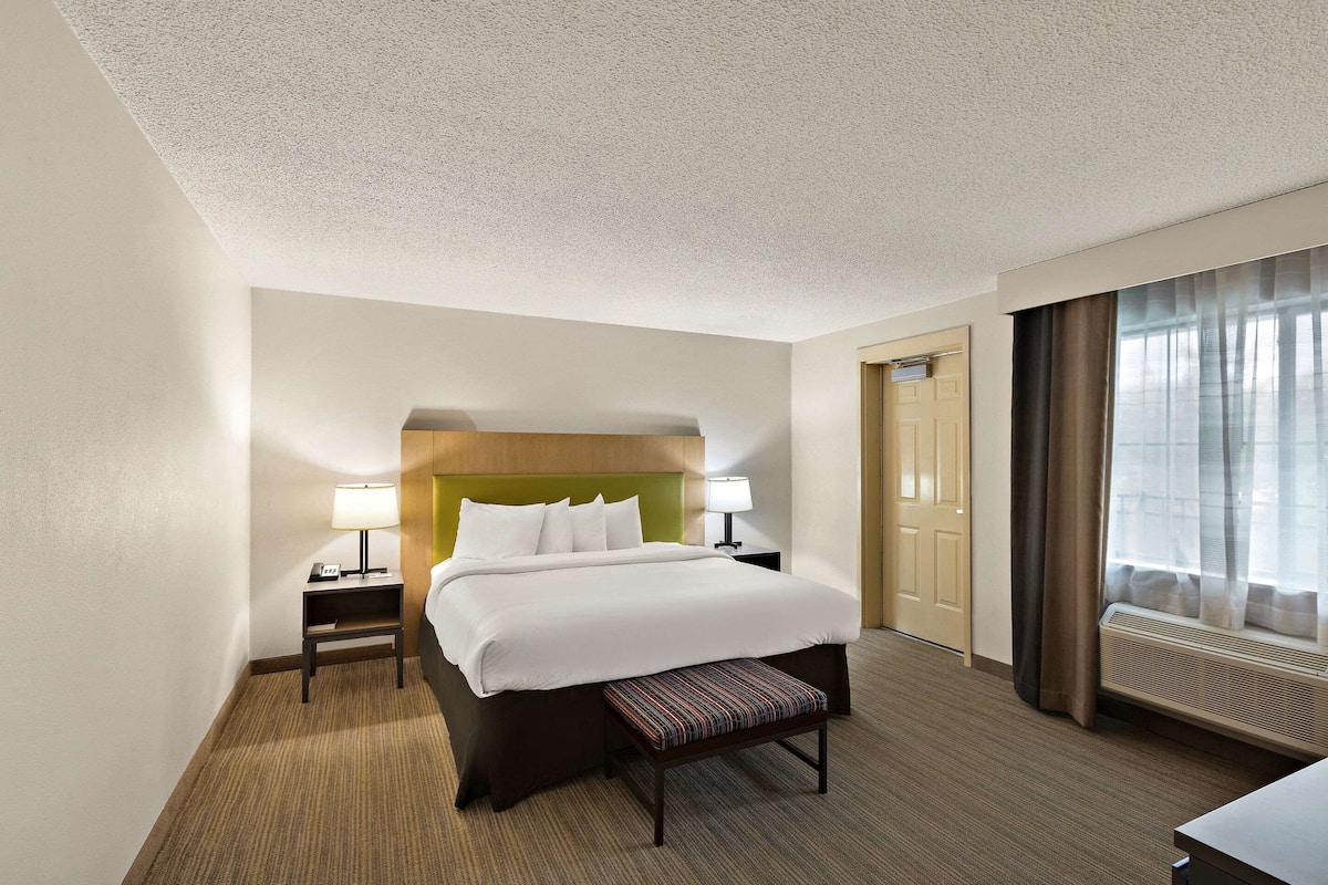 Room, 1 King Bed, Accessible, Non Smoking (Roll-in Shower) | 1 bedroom, premium bedding, minibar, in-room safe