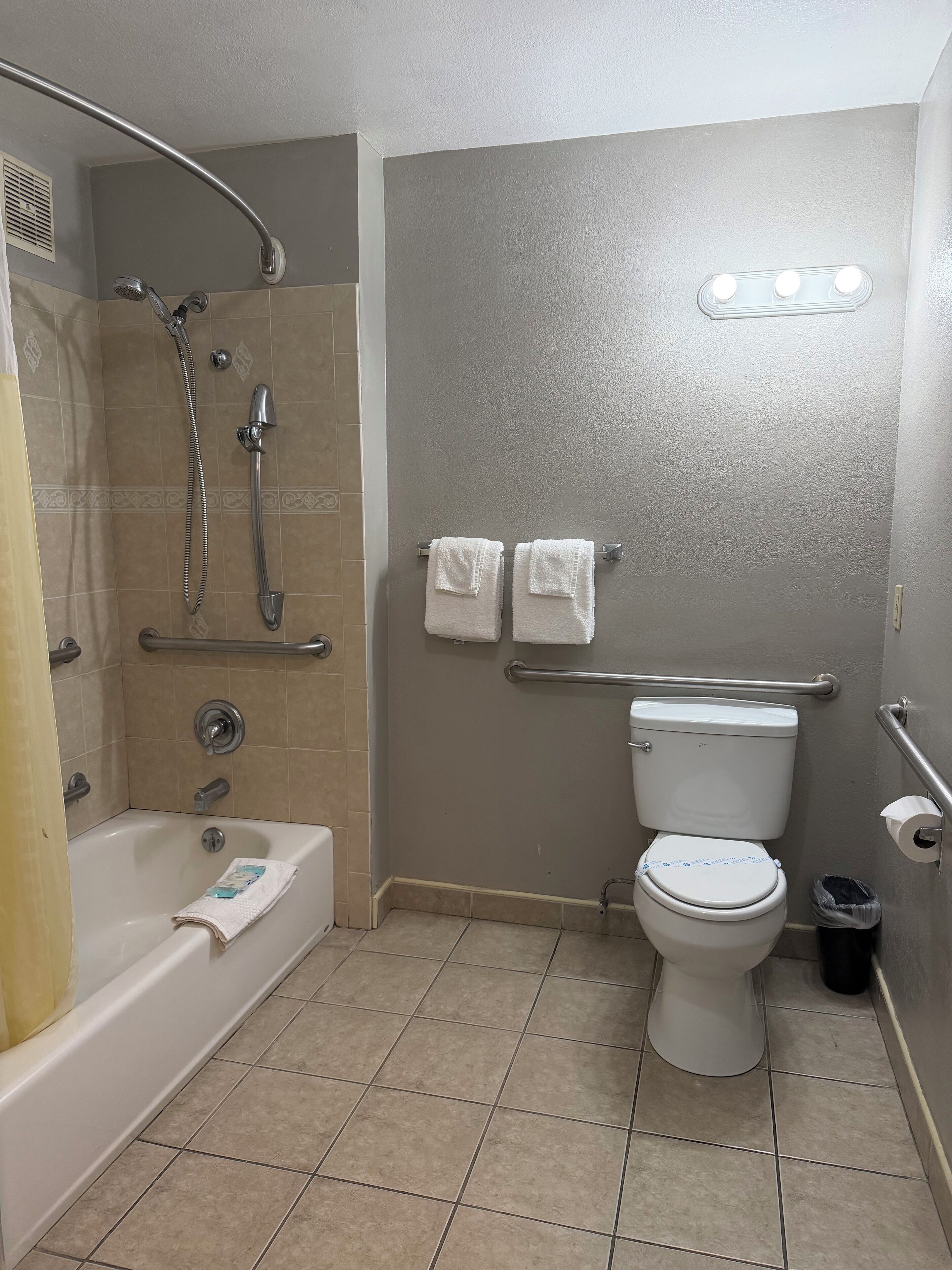 Een badkamer met een bad, douche, toilet en handgrepen.