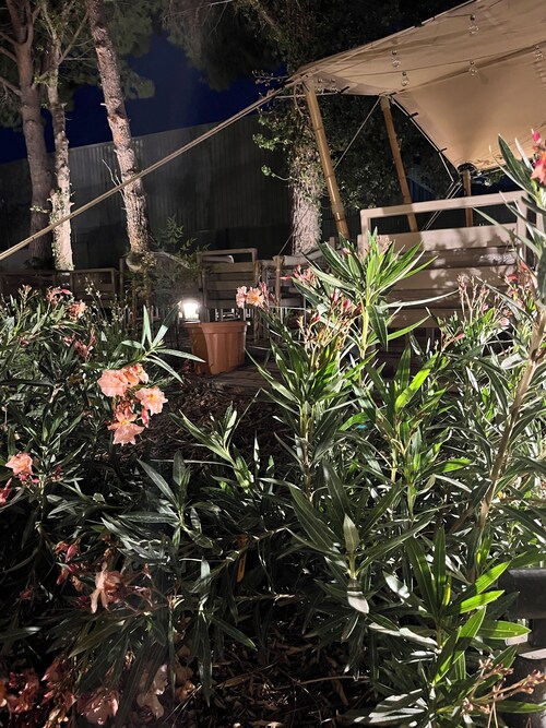 Hôtel Le Relais des Brasseurs - Aubagne (8)